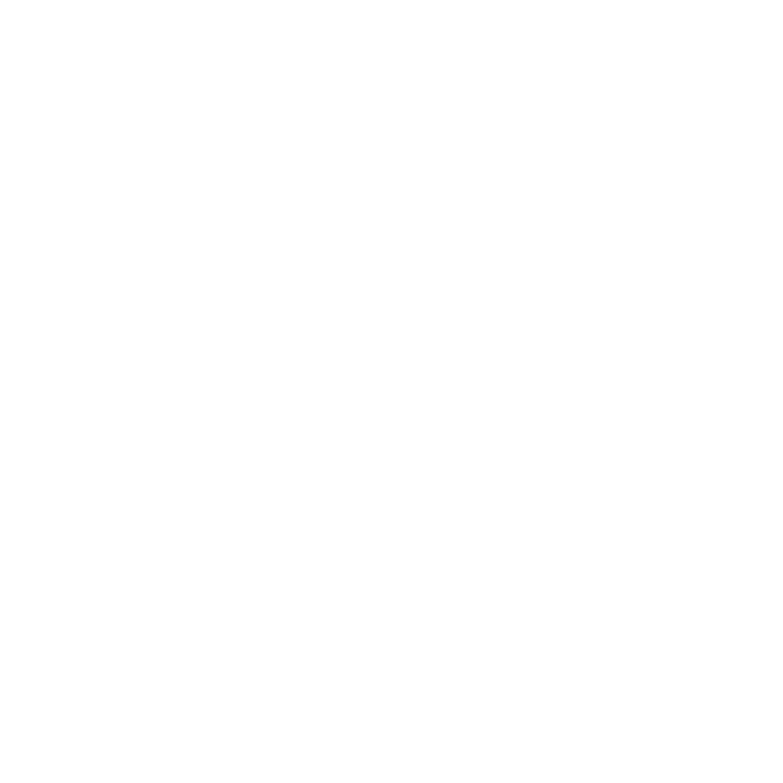 networkign white