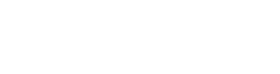 savant-logo