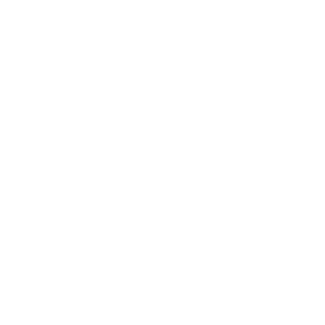 security white
